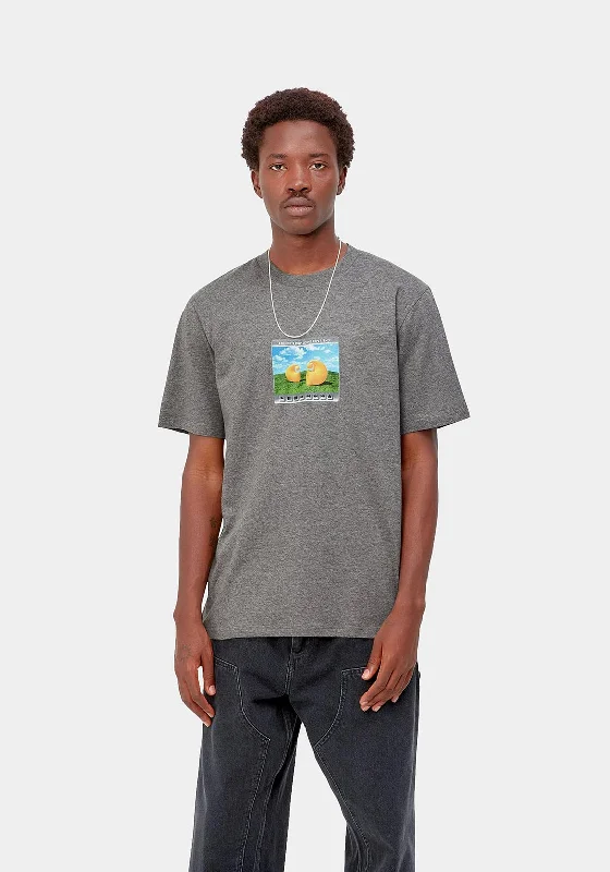 Carhartt Sound Experience T-Shirt, Grey